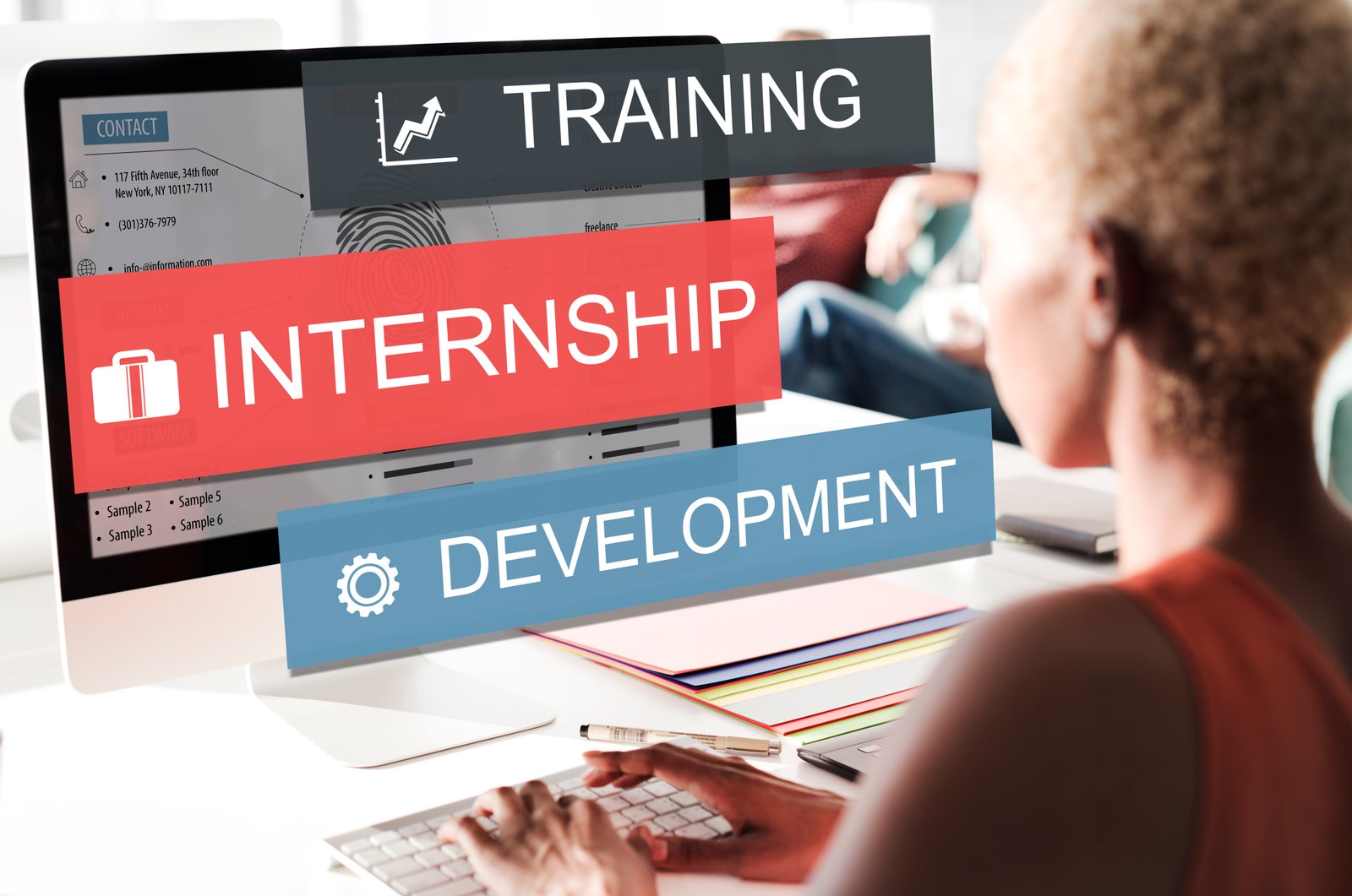 OECD Internship Programme